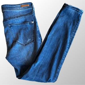 Anthropologie Pilcro & the Letterpress High-Rise Skinny Blue‎ Jeans in Size 28